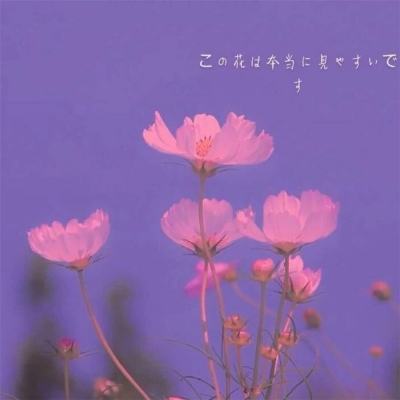 伊朗官方媒体：伊朗不会接受美国提出的战争停火提议